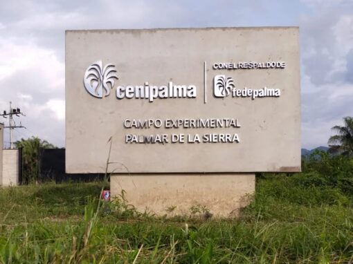 Cenipalma